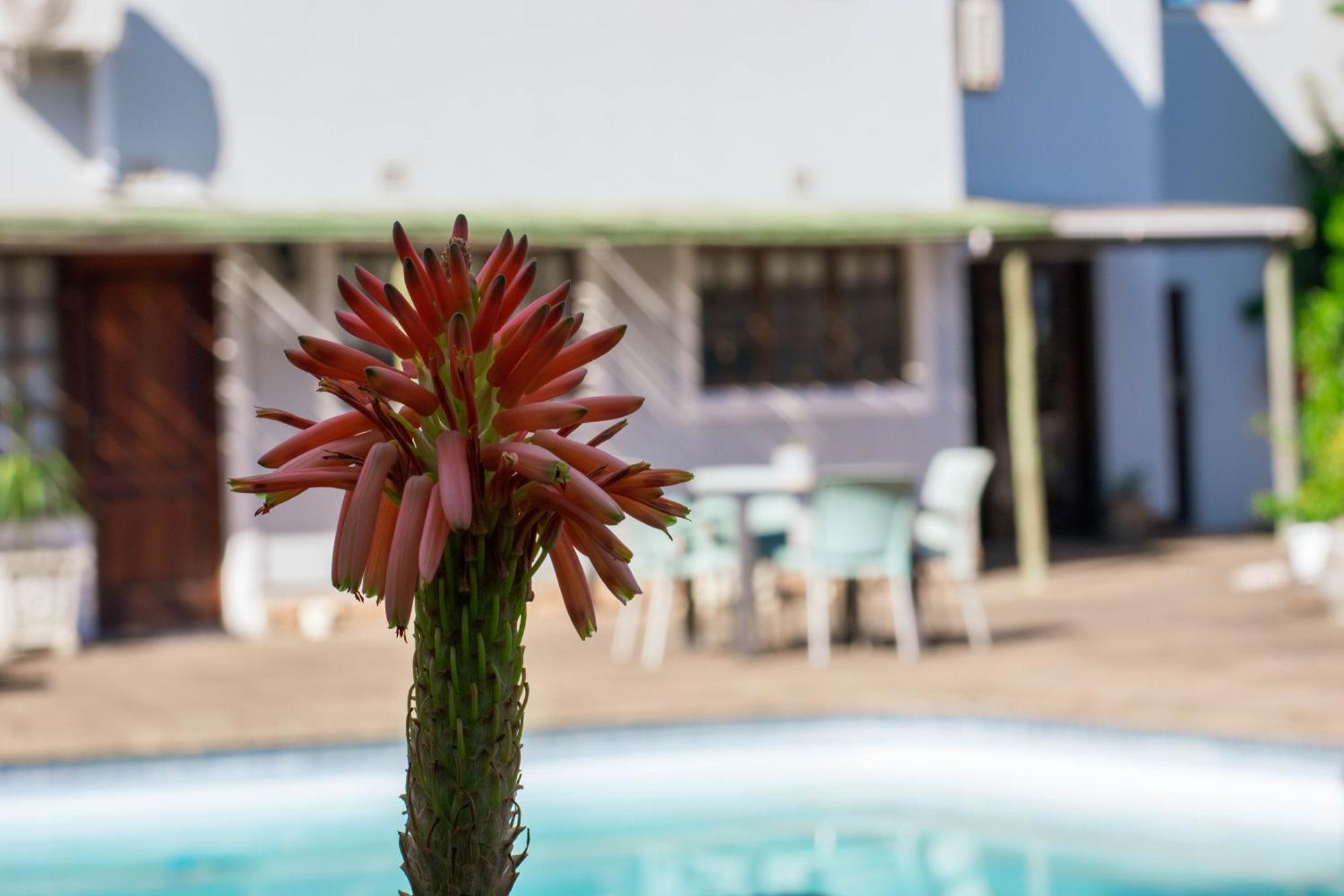 African Sands B&B Amanzimtoti Eksteriør billede